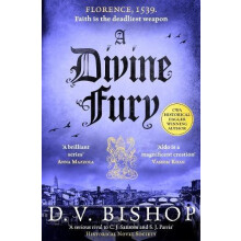 A Divine Fury by D. V. Bishop Paperback Book