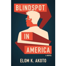 Blindspot in America by Elom K. Akoto Paperback Book