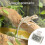 Humidity Gauge Hygrometer Reptiles Electronic Thermometers 2