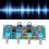Digital Power Amplifier Board PCB 2 Kanäle Preamp 12