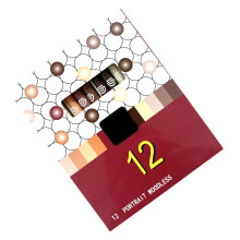 Houtloze aquarelpotloodset voor portrettekening,