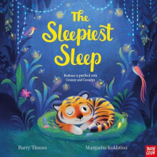 The Sleepiest Sleep by Barry Timms Paperback Book