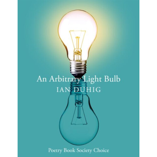 An Arbitrary Light Bulb by Ian Duhig Paperback Book