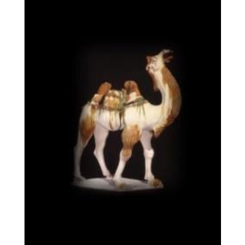 Silk Roads by Tim Williams Hardcover Book