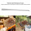 Stainless Steel Chef Knife 8-inch Sharp Blade Ergonomic Handle Rust Resistant 10