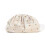 Pleated Clutches Purse Soft Cloud Dumpling Clutches-Champagne 1