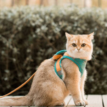 Arnés luminoso a prueba de escape para gatos