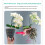 Sun Resistant Orchids Flower Pot For Air-Inner diameter 10cm 7