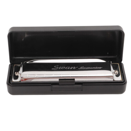 G Key Harmonica 10 Hole 20 Tone Mouth Organ Rust