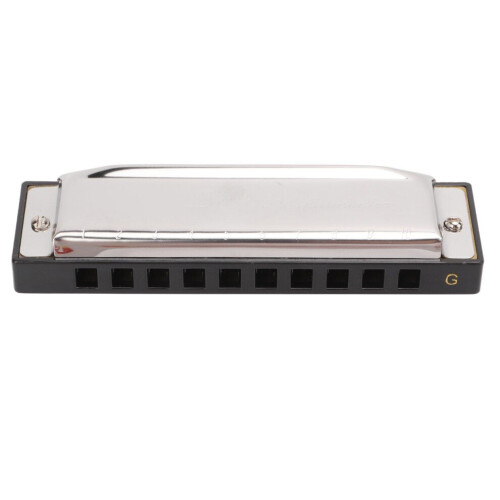 G Key Harmonica 10 Hole 20 Tone Mouth Organ Rust 2