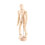 Konstklass Träfigur Manlig Mannequin 5