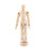 Konstklass Träfigur Manlig Mannequin 3