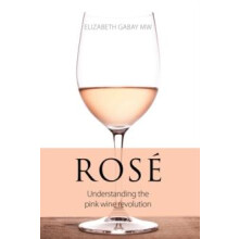 Rose by Elizabeth Gabay Paperback Book