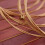 Walter.t A16X Lyre Harp String Set for Walter.t 3