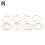 Walter.t A16X Lyre Harp String Set for Walter.t 2