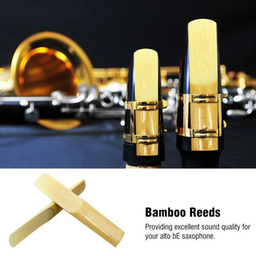 LADE 10 anches en bambou, force 2,5 pour alto bE 1
