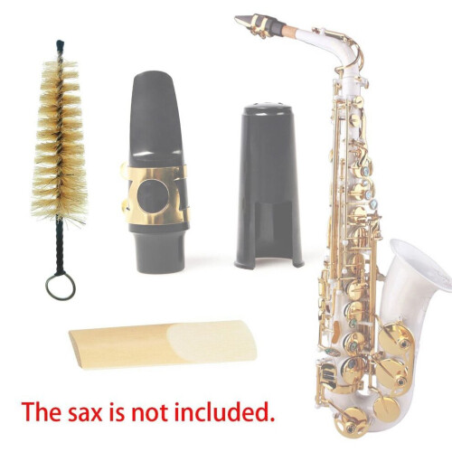 Mouthpiece Cleaning Brush Metal Handle Bristles