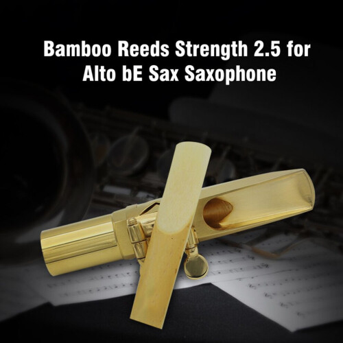 LADE 10 anches en bambou, force 2,5 pour alto bE 2