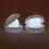 Pearl Shell Night Light Exquisite Pearl Shell 3