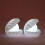Pearl Shell Night Light Exquisite Pearl Shell 4