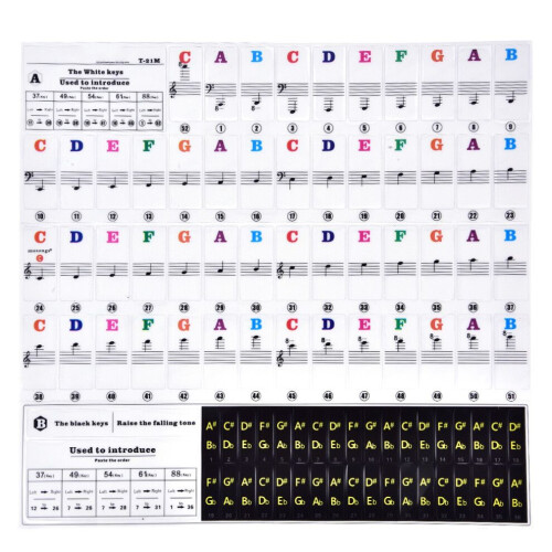 Aufkleber-Set für Klaviertasten, abnehmbar