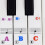Juego de pegatinas para teclas de piano de 61 teclas 3
