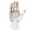 Halloween Skeleton Decorations Hand Painted 5