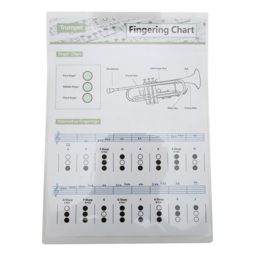 Tableau d'accords de trompette, doigté, notes, musique