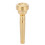 Embouchure de trompette dorée, style tendance, pour débutant 1