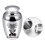 Dog Urns,Cats Urns Tiny Cremation Urn for Human Pet-Silver 5