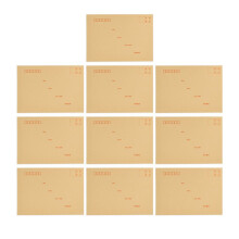 10 Stück verstärkte Kraftpapier-Umschläge, groß