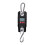 Weiheng WH-C 300kg Digital Hanging Scale with Hook - Compact, Black 2