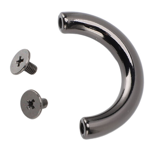 10 sets D-ring verbindingsgespen van zinklegering en ijzer 1