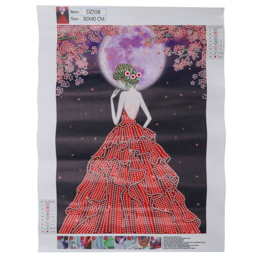 Pintura de diamantes de moda DIY Artes Hogar 1