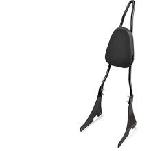 Motorcycle Passenger Backrest Sissy Bar Compatible with Sportster XL883 XL1200 Series Decoration Rear Cover