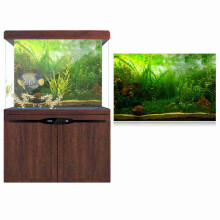 Water Grass Style Aquarium Background Poster PVC 91*41cm Waterproof Fish Tank Decor