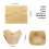 Tulip Muffin Liners, 250 τεμάχια Cupcakes Liners, Ανθεκτικά στο Λάδι Περιτυλίγματα Cupcakes σε 3 Χ 2