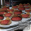 Tulip Muffin Liners, 250 τεμάχια Cupcakes Liners, Ανθεκτικά στο Λάδι Περιτυλίγματα Cupcakes σε 3 Χ 5