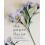 The Paper Florist by Suzi Mclaughlin Paperback Book 1