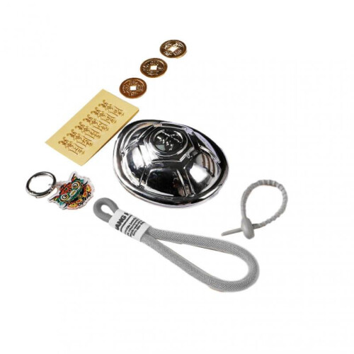 (Silver) Lovely Turtles Shell Divination Tool Keychain Multi-Purpose Tabletop Ornament for Women Men