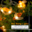Waterproof Bee Shape LED String Lights - Battery Operated 1.2m Length 4