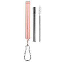 Reusable Straws Set, Compact and Portable Collapsible Stainless Steel Straw for Sustainable Lifestyles, Includes Cleaning Brush and Carabiner, Leak-Pr