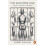 The Machine Age by Robert Skidelsky Paperback Book 1
