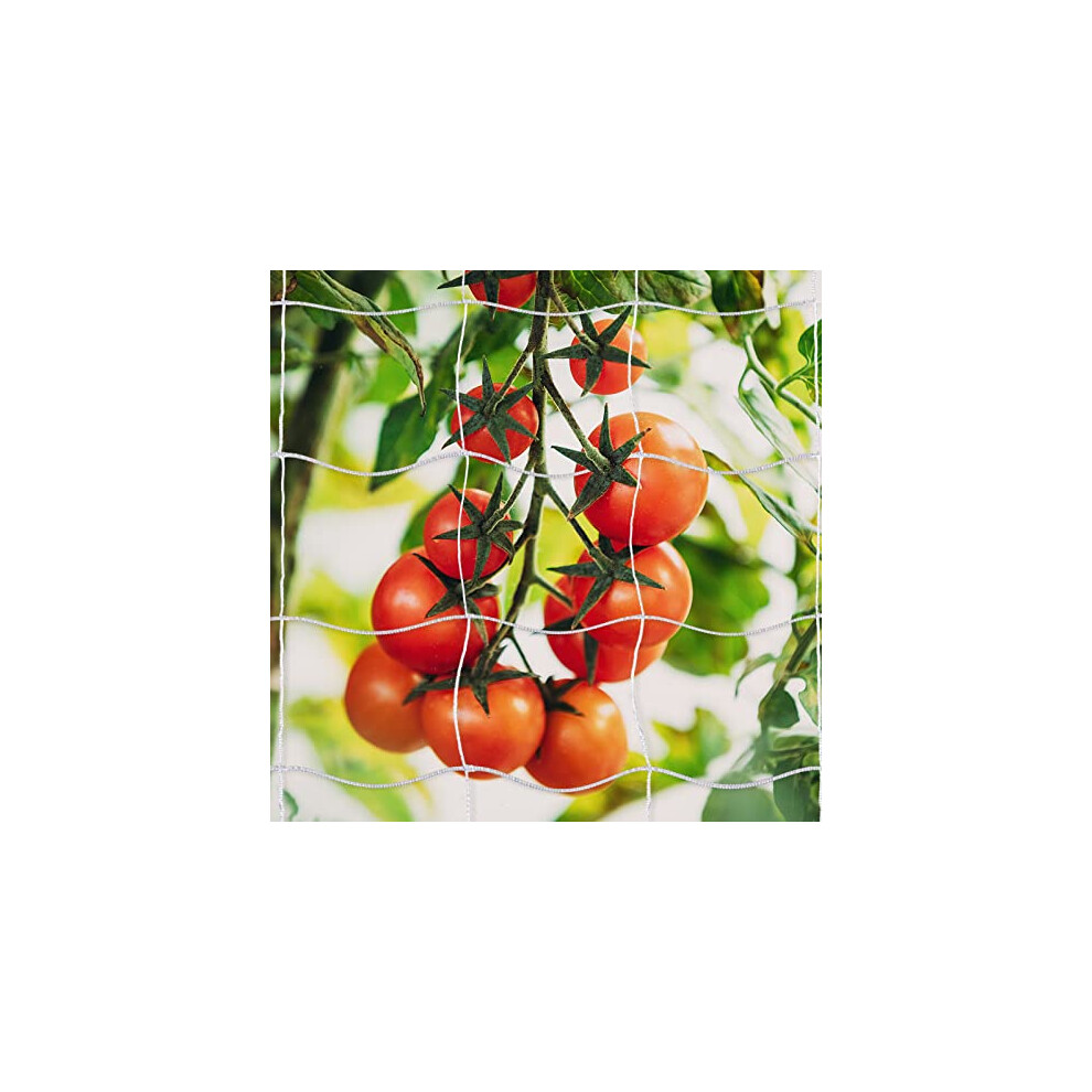 Exquisite Craft Plant Supportive Net For Tear-resistant Performance-image-OPC-PN5D7S9-NEW