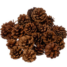 Cinnamon Scented Pinecones 1 Lb 40 Pack Small Pinecones For Crafts Vase Filler Cinnamon Fragrance Pine Cones 1 Pack
