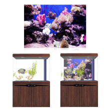 Adhesive Coral Seaworld Poster for Aquarium Fish Tank Decor 61cm x 30cm