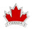 Sturdy Alloy Maple Leaf Clasps Emblems for Long Time Use Apparel 4