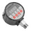 220V Digitaler Druckschalter-Controller 0-2 MPa, 80 mm, 4-stellige LED 13