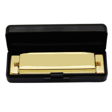 Leichtes Gold 10-Loch-Harmonika, tragbares Musikinstrument