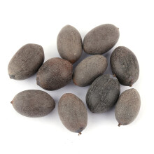 5 Pack Lotus Seeds for Water Plant Growing – 10 Pcs Bowl Seeds
